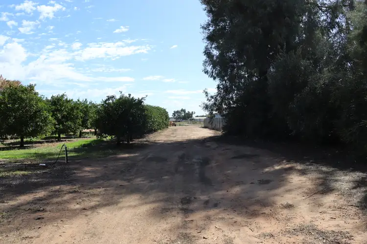 Lot 7 Renmark Avenue, Renmark South SA 5341