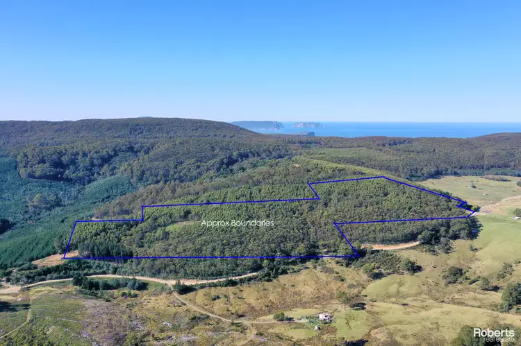Main view of Homely land listing, 847 Stormlea Road, Stormlea TAS 7184