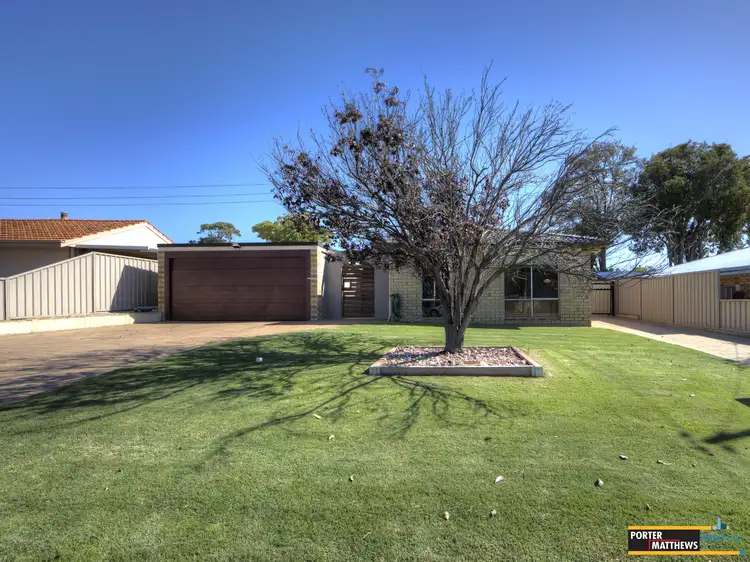 Main view of Homely house listing, 61 Dotterel Way, Yangebup WA 6164