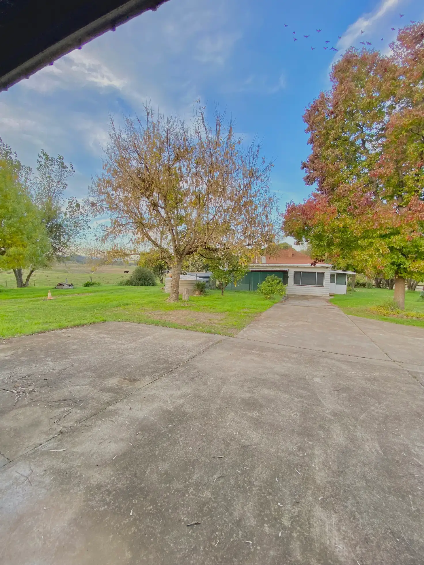 Main view of Homely house listing, 1/66 Whatmans Lane, Tumut NSW 2720