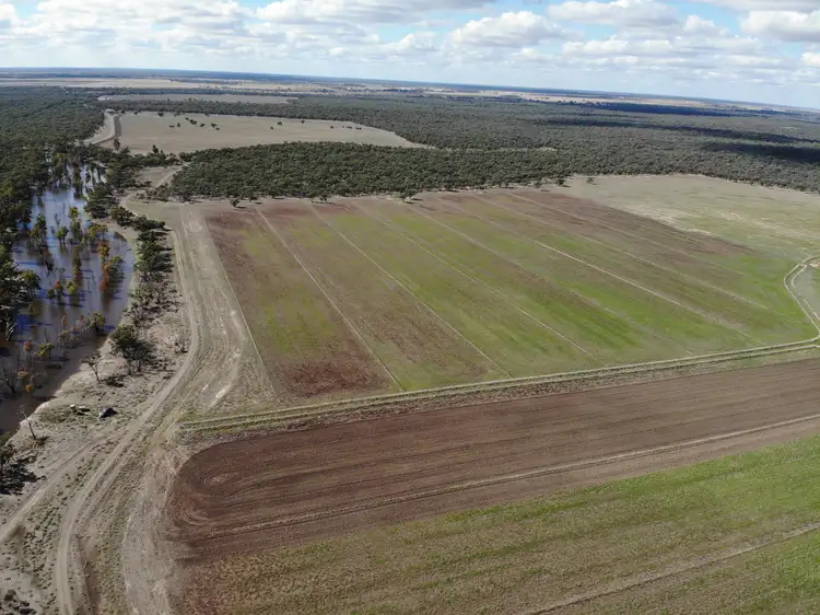 'Concord' 703 Cunninyeuk Road, Cunninyeuk NSW 2734