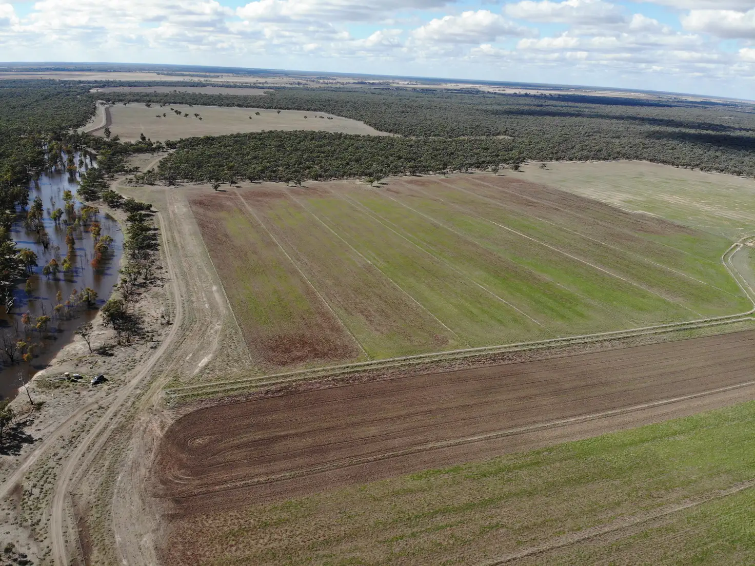 Main view of Homely rural property listing, 'Concord' 703 Cunninyeuk Road, Cunninyeuk NSW 2734