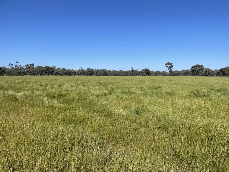 Fifth view of Homely rural property listing, 'Concord' 703 Cunninyeuk Road, Cunninyeuk NSW 2734
