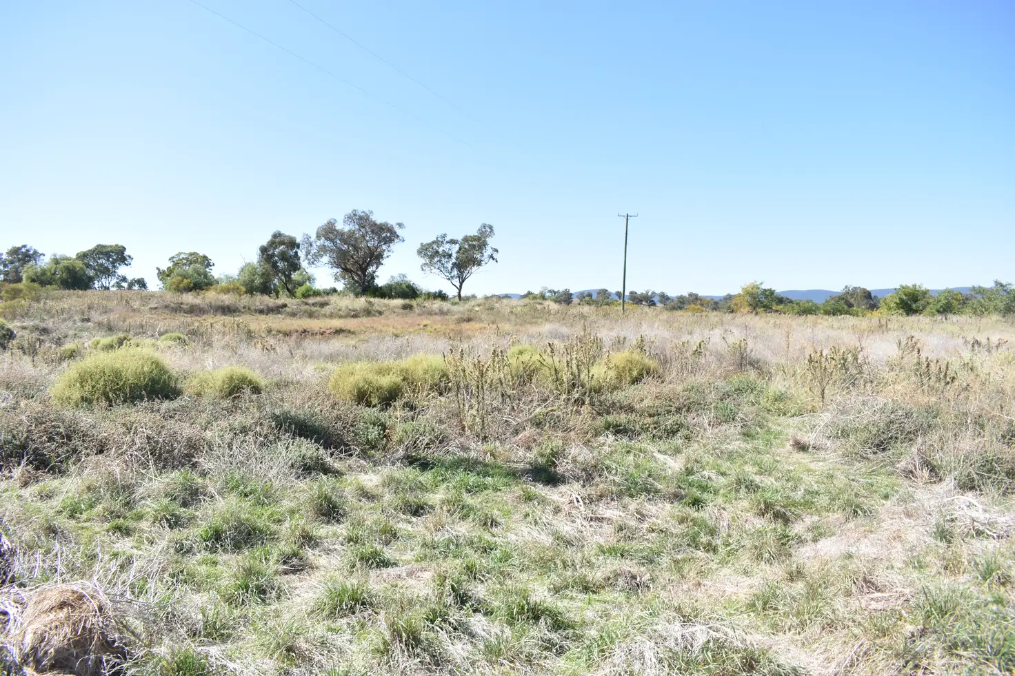 Main view of Homely land listing, Lots 4, 415 & 458 Newell Highway, Trewilga NSW 2869