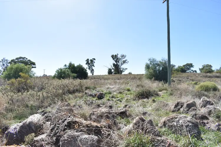 Seventh view of Homely land listing, Lots 4, 415 & 458 Newell Highway, Trewilga NSW 2869