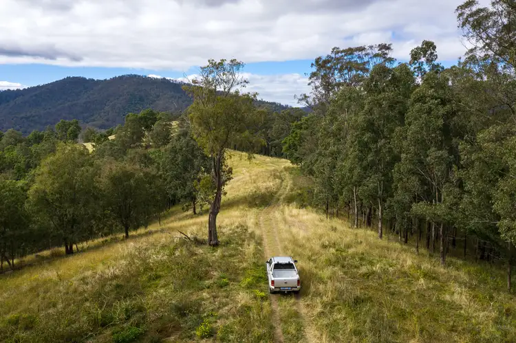 Sixth view of Homely rural property listing, Lot 29 McPhersons Country Estate, Enfield Range Road, Cells River NSW 2424