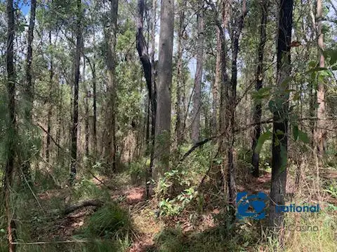 Lot 107 Patemans Road, Drake NSW 2469