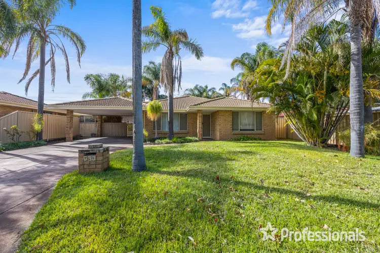 146 Hamelin Drive, Ballajura WA 6066