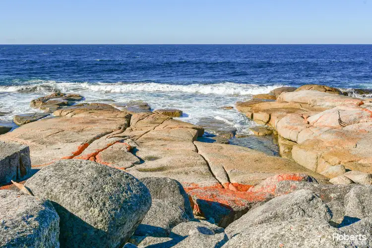 Seventh view of Homely land listing, 321 Harveys Farm Road, Bicheno TAS 7215