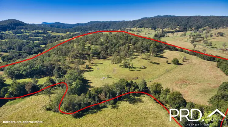 Third view of Homely rural property listing, 83 Horseshoe Creek Road, Horseshoe Creek NSW 2474