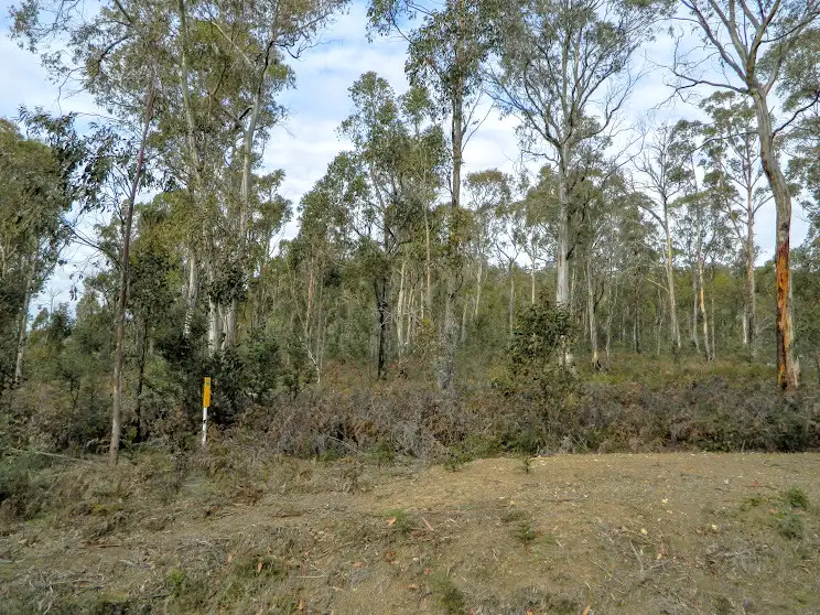 Sixth view of Homely land listing, 0 Bluff Road, Elderslie TAS 7030