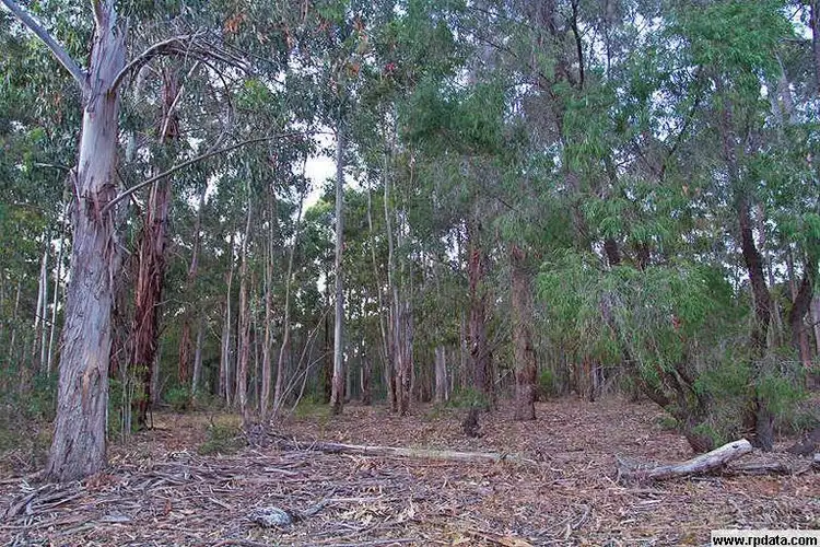 Second view of Homely land listing, Lots 2,3 & 5 Commonage Road, Quindalup WA 6281