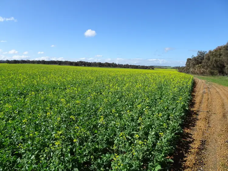 Fourth view of Homely rural property listing, "Koobadong West", Noble Rd, Wagin WA 6315