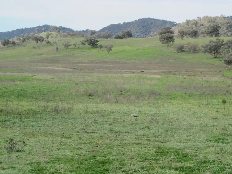 Fourth view of Homely rural property listing, 124 Hughes Lane, Mudgee NSW 2850