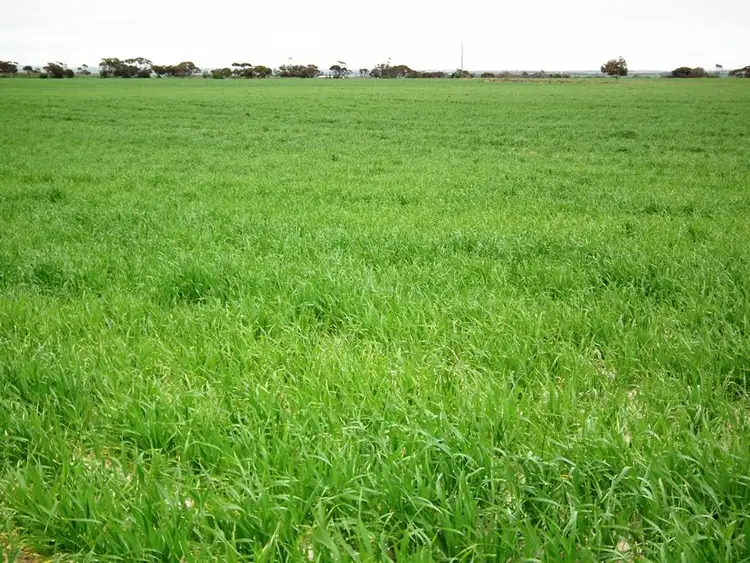 Fourth view of Homely rural property listing, Taragoro Road, Rudall, Cleve SA 5640