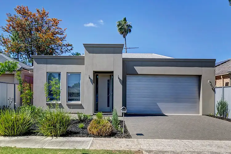 Main view of Homely house listing, 16 Falcon Avenue, Hampstead Gardens SA 5086