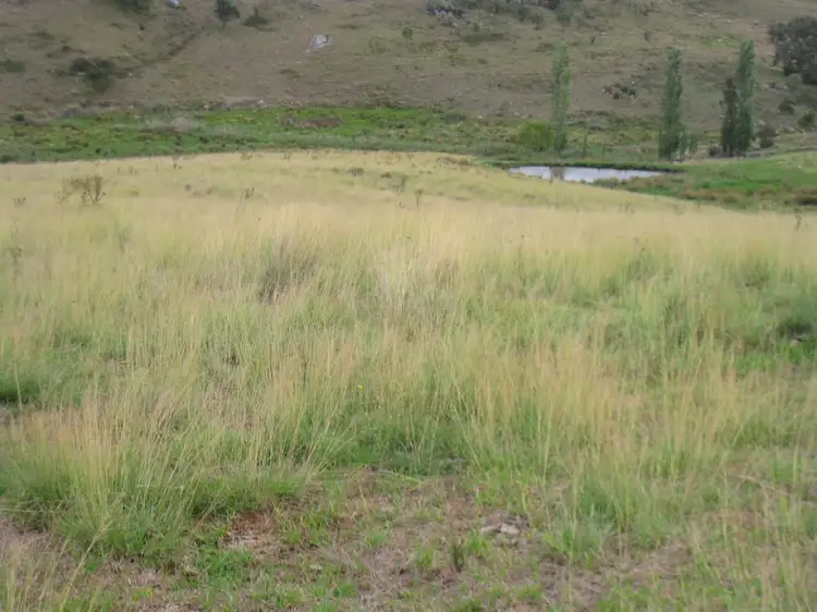 Fifth view of Homely land listing, Lot B Brianderry Rd, Bega NSW 2550