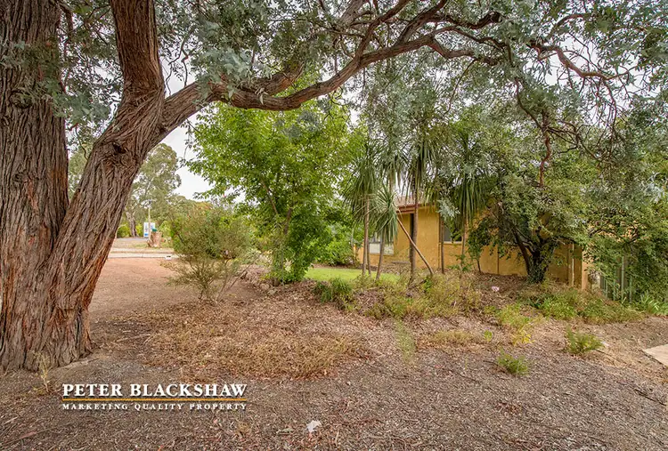 Fifth view of Homely house listing, 57 Salsola Street, Rivett ACT 2611