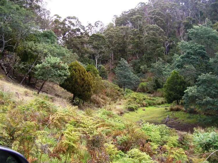 Third view of Homely rural property listing, Lot 1 Huntington Tier Road, Dysart TAS 7030