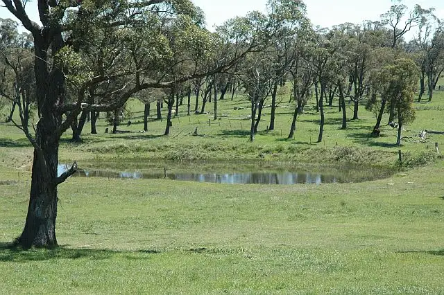 Main view of Homely rural property listing, 33 Carribee Road, Moss Vale NSW 2577
