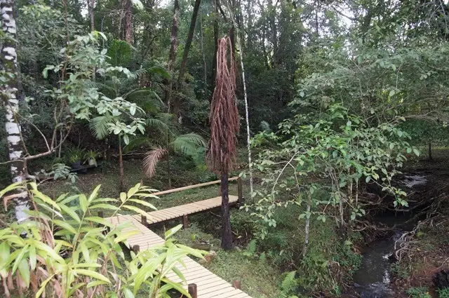 Fifth view of Homely house listing, 8 Payne Street, Eumundi QLD 4562