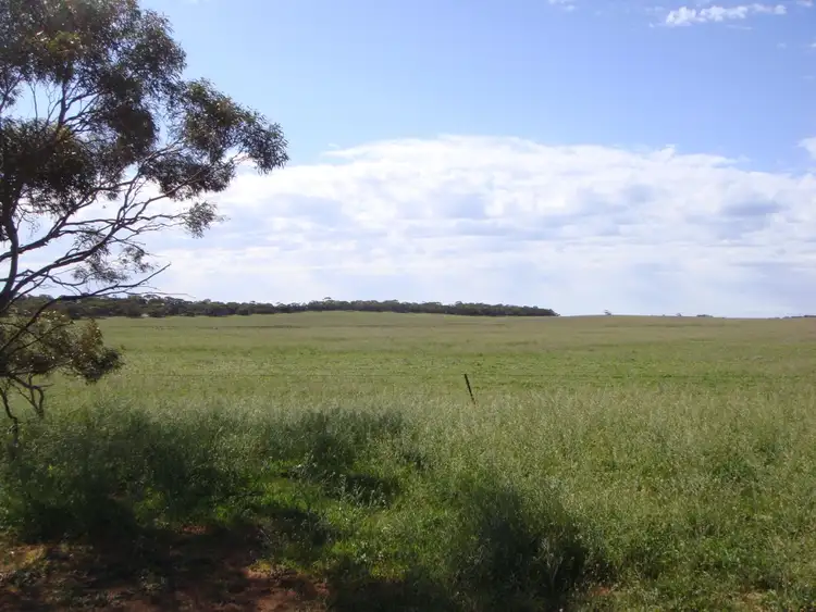 Seventh view of Homely rural property listing, 49 and 51 Tori Hills Road, Karoonda SA 5307