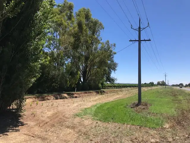 Fifth view of Homely rural property listing, Farm 626 Burley Griffin Way, Yoogali NSW 2680