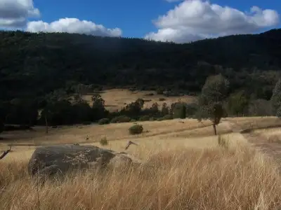 Seventh view of Homely rural property listing, 00 Foggs Crossing, Bigga NSW 2583