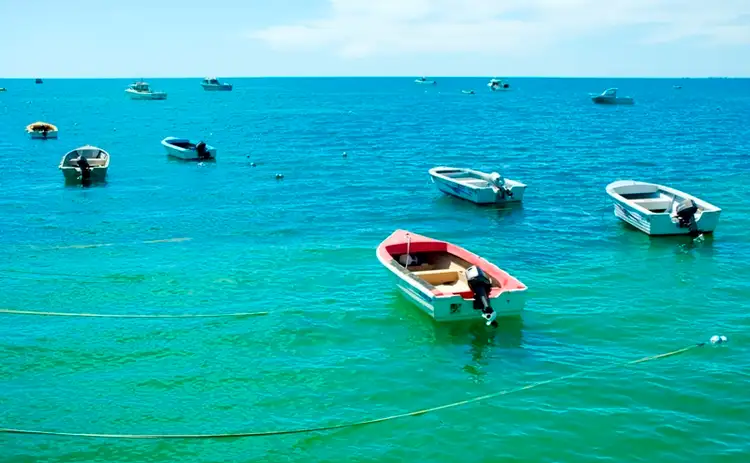 Sixth view of Homely land listing, 5 Ryder Park Estate, Kingston Se SA 5275