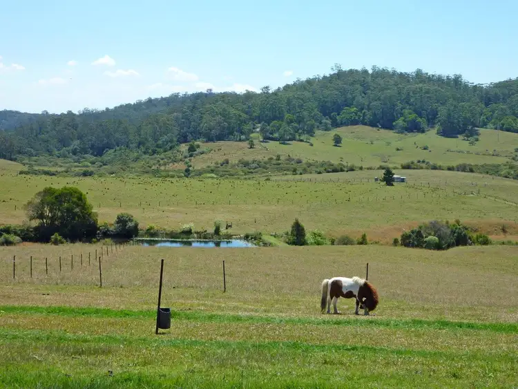 Fourth view of Homely house listing, 1590a Eastern Dorrigo Way, Lowanna NSW 2450