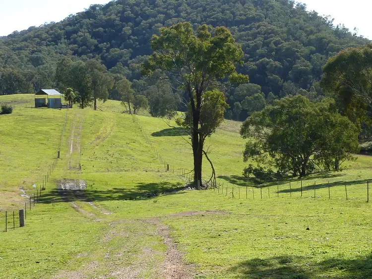 Fifth view of Homely rural property listing, 764 Linsells Road,, Humula NSW 2652