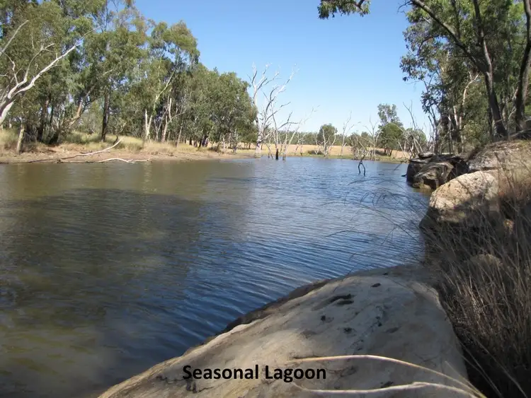 Second view of Homely rural property listing, 183 Twin Creek Road, Warialda NSW 2402
