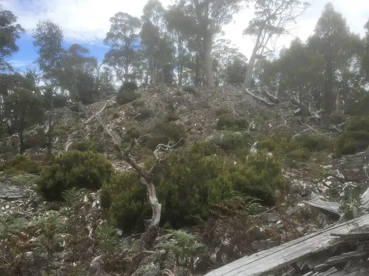 Sixth view of Homely land listing, 4774 Highlands Lake Road, Bothwell TAS 7030