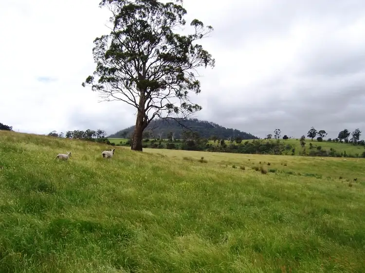 Fifth view of Homely rural property listing, Lot 1 Huntington Tier Road, Dysart TAS 7030