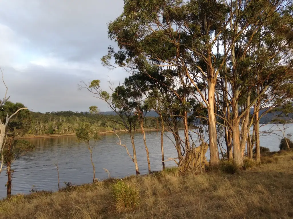Main view of Homely land listing, Lot 4 Apollo Bay, Bruny Island TAS 7150