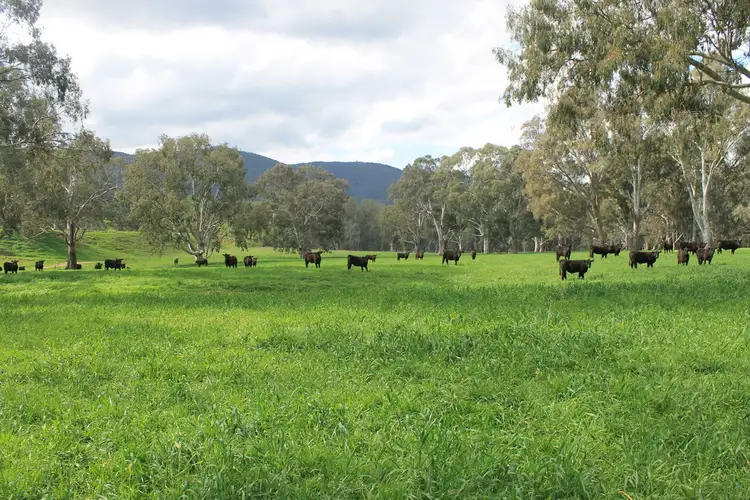 Main view of Homely rural property listing, 325 Switzerland Road, Ghin Ghin VIC 3717
