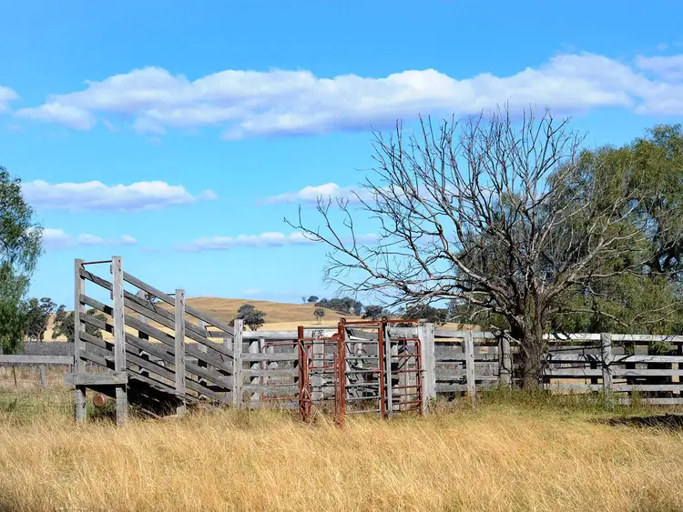 Second view of Homely rural property listing, 313 Magpie Lane, Gulgong NSW 2852