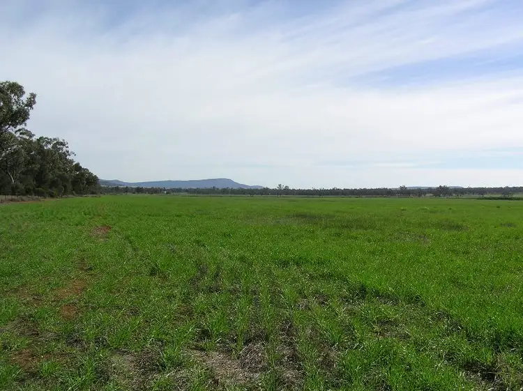 Seventh view of Homely rural property listing, WENETER PARK  1077 Watermark Rd, Gunnedah NSW 2380