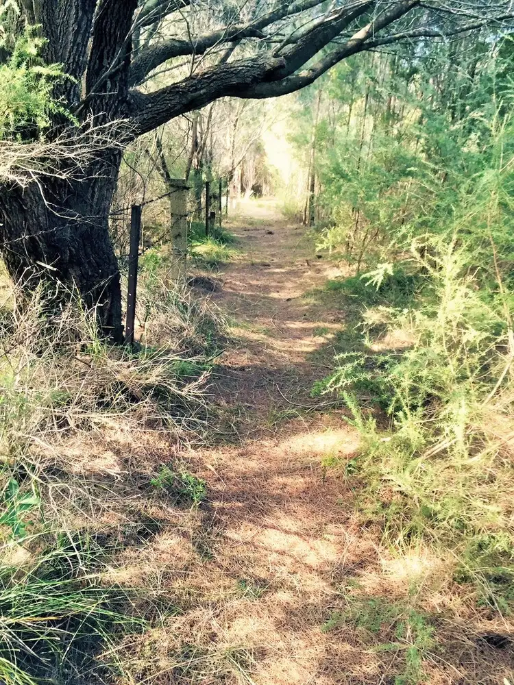 Sixth view of Homely land listing, Lot 333 & 354 3 Waratah Street., Yerrinbool NSW 2575