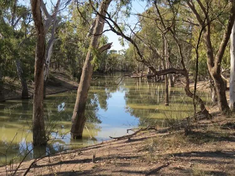 Second view of Homely rural property listing, WIDGEE Wakool Road, Deniliquin NSW 2710