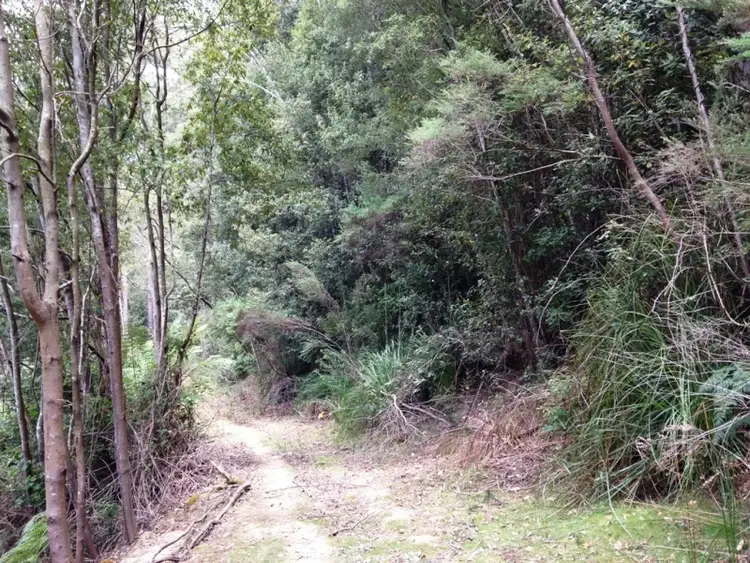 Fourth view of Homely land listing, Lot 1 Hayes Road, Bruny Island TAS 7150