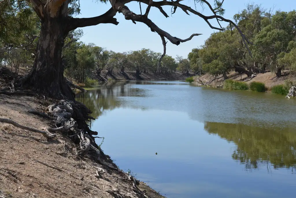 Main view of Homely house listing, 101 Pamamaroo Street, Menindee NSW 2879