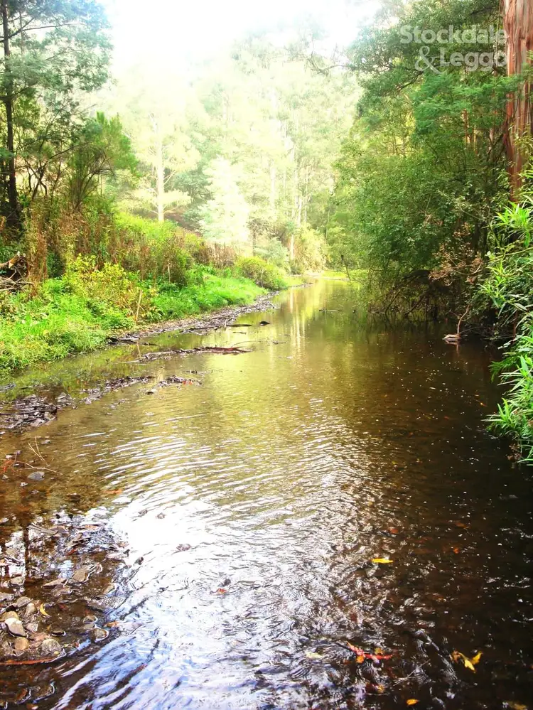 Second view of Homely rural property listing, 115 Morwell River Rd, Boolarra South VIC 3870