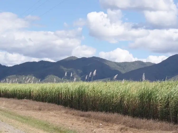 Fifth view of Homely land listing, Lot 3 Oakenden Rd, Oakenden QLD 4741