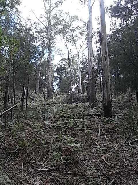 Fourth view of Homely land listing, Lot 6 Barnard Drive, Bicheno TAS 7215