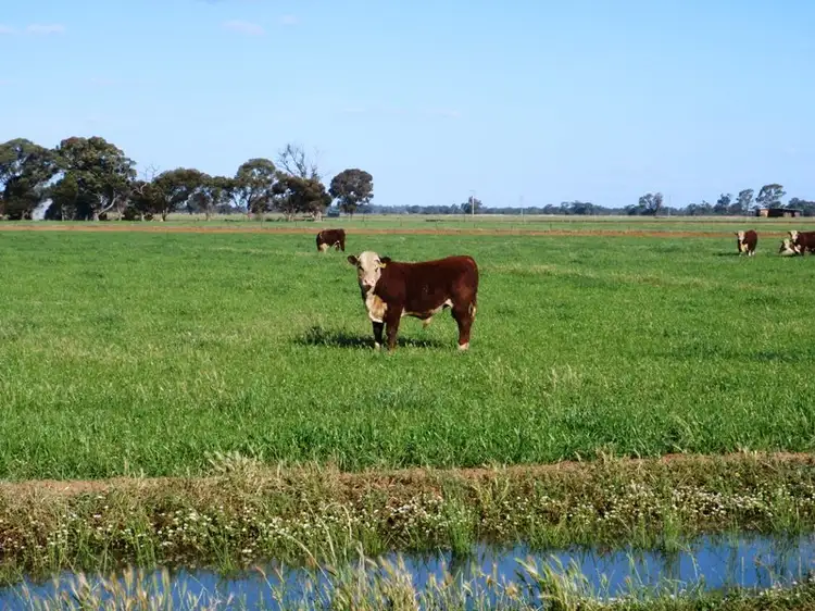 Riverina Highway, Berrigan NSW 2712