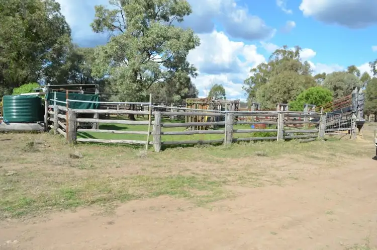 Seventh view of Homely rural property listing, 349 Boondandilla Road, Millmerran QLD 4357