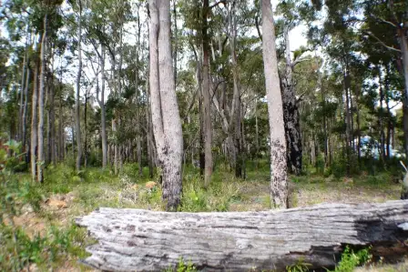 Second view of Homely land listing, 11 Tinglewood Court, Cowaramup WA 6284