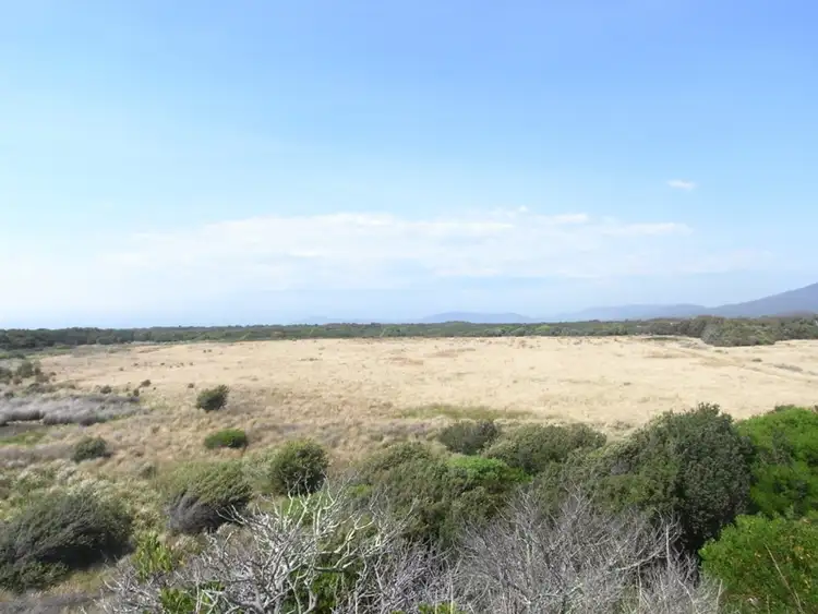 Fourth view of Homely rural property listing, Lots 2 & 5 Macquarie Street, Seymour TAS 7215