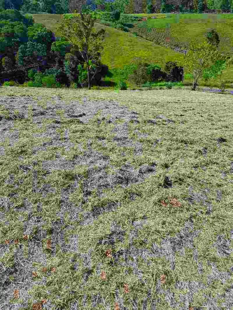 Sixth view of Homely house listing, 27 Dobson Road, Clear Mountain QLD 4500